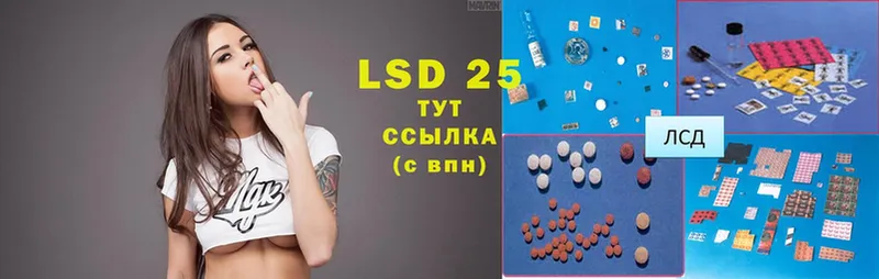 наркота  Камышин  Лсд 25 экстази ecstasy 