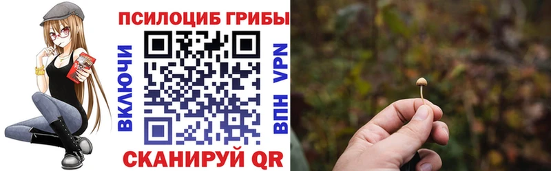 ссылка на мегу   Камышин  Псилоцибиновые грибы Magic Shrooms 