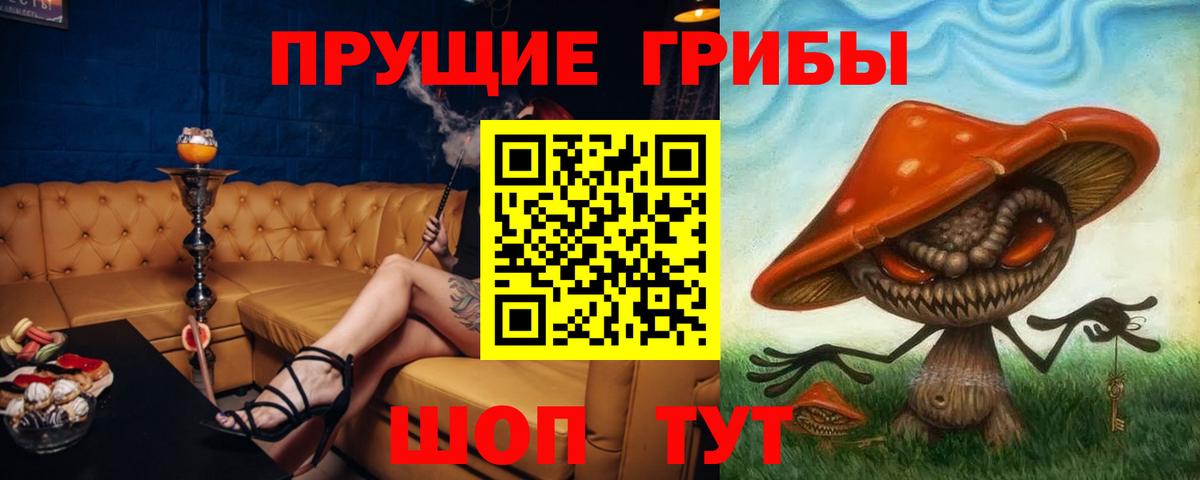 Псилоцибиновые грибы прущие грибы  Вход с VPN  Камышин 