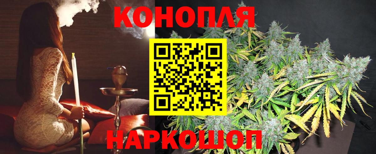 Камышин  Марихуана Amnesia  Вход с VPN  МАРИХУАНА план  Бошки марихуана Bruce Banner 